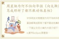 周星驰为何不怕向华强（向太撕周星驰都骂成那样了都不敢动他真相）