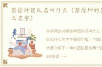 蔡徐坤团队名叫什么（蔡徐坤的团队叫什么名字）