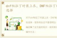 dnf帕拉丁时装上衣，DNF帕拉丁时装属性选择