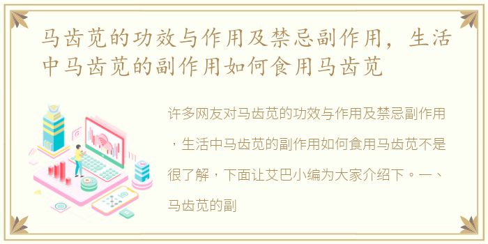 马齿苋的功效与作用及禁忌副作用，生活中马齿苋的副作用如何食用马齿苋