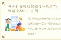 梅小肚青梅精软糖可以减肥吗，青梅精，梅精锭知识一百问