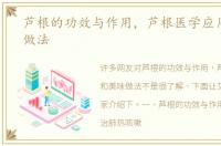 芦根的功效与作用，芦根医学应用和美味做法