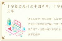 十字标志是什么车国产车，十字标志是什么车