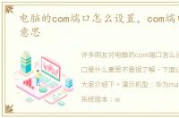 电脑的com端口怎么设置，com端口是什么意思