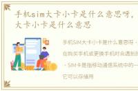 手机sim大卡小卡是什么意思呀，手机SIM大卡小卡是什么意思