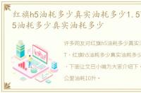 红旗h5油耗多少真实油耗多少1.5T，红旗h5油耗多少真实油耗多少