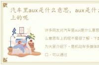 汽车里aux是什么意思，aux是什么意思车上的呢
