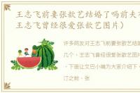 王志飞前妻张歆艺结婚了吗前夫有几个（王志飞曾经很爱张歆艺图片）