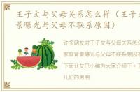 王子文与父母关系怎么样（王子文家庭背景曝光与父母不联系原因）