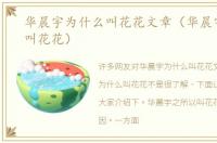 华晨宇为什么叫花花文章（华晨宇为什么叫花花）