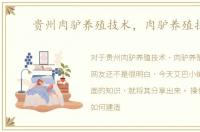 贵州肉驴养殖技术，肉驴养殖技术