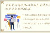 最美的青春张福林出真相是第几集（最美的青春张福林结局）