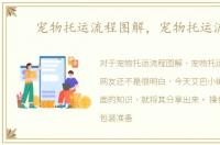 宠物托运流程图解，宠物托运流程