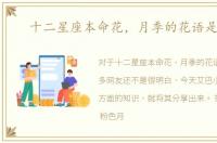 十二星座本命花，月季的花语是什么