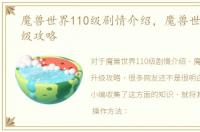 魔兽世界110级剧情介绍，魔兽世界110升级攻略