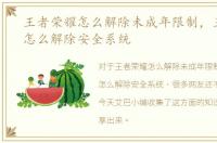 王者荣耀怎么解除未成年限制，王者荣耀怎么解除安全系统