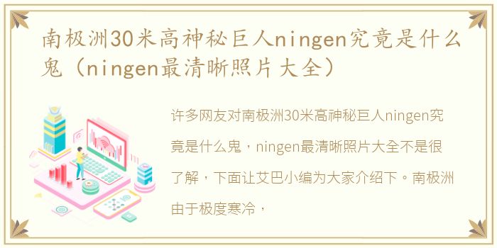 南极洲30米高神秘巨人ningen究竟是什么鬼（ningen最清晰照片大全）