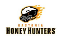 加斯托尼亚蜂蜜猎人正在寻找2023年冠军