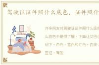 驾驶证证件照什么底色，证件照什么底色