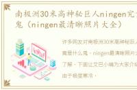 南极洲30米高神秘巨人ningen究竟是什么鬼（ningen最清晰照片大全）