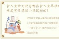 食人鱼的天敌有哪些食人鱼单独战斗的时候其实是很胆小很懦弱的！