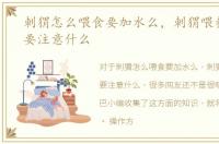 刺猬怎么喂食要加水么，刺猬喂养时候需要注意什么