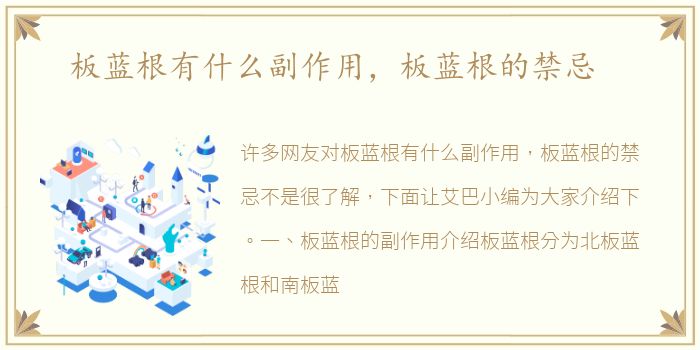 板蓝根有什么副作用，板蓝根的禁忌