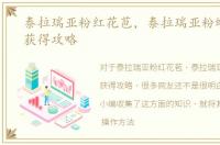 泰拉瑞亚粉红花苞，泰拉瑞亚粉蝶花种子获得攻略