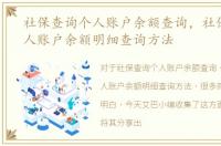 社保查询个人账户余额查询，社保查询个人账户余额明细查询方法