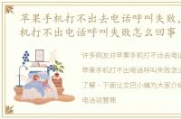 苹果手机打不出去电话呼叫失败，苹果手机打不出电话呼叫失败怎么回事