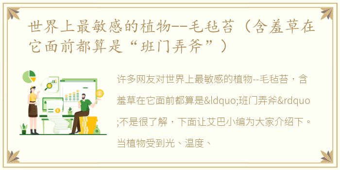 世界上最敏感的植物--毛毡苔（含羞草在它面前都算是“班门弄斧”）