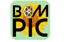 BOM PIC全球流媒体平台为新兴市场提供机遇