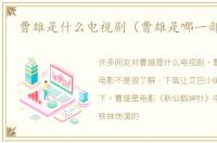 曹雄是什么电视剧（曹雄是哪一部电影）