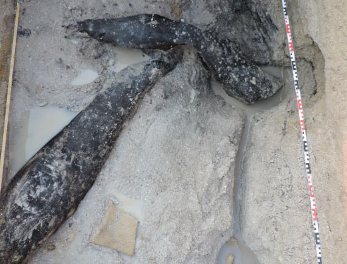 赞比亚出土476000年前的木结构建筑