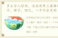 多么令人惊讶，这些世界上最棒的人！瞎子，瞎子，哑巴，一个不会笑的