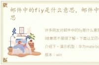 邮件中的fiy是什么意思，邮件中fyl啥意思