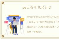 qq大会员包括什么