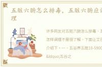 五脏六腑怎么排毒，五脏六腑应该怎样调理