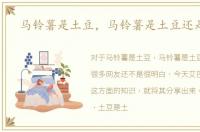 马铃薯是土豆，马铃薯是土豆还是红薯