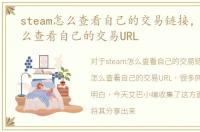 steam怎么查看自己的交易链接，steam怎么查看自己的交易URL