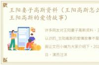 王阳妻子高斯资料（王阳高斯怎么认识的_王阳高斯的爱情故事）