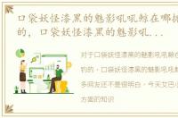 口袋妖怪漆黑的魅影吼吼鲸在哪抓 不用钓的，口袋妖怪漆黑的魅影吼吼鲸在哪抓