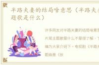 半路夫妻的结局啥意思（半路夫妻片尾主题歌是什么）