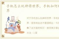 手机怎么玩神将世界，手机如何玩神将世界