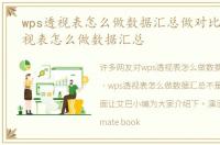 wps透视表怎么做数据汇总做对比，wps透视表怎么做数据汇总