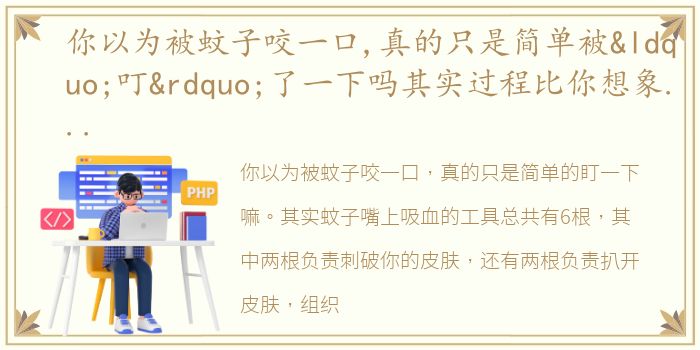 你以为被蚊子咬一口,真的只是简单被“叮”了一下吗其实过程比你想象的复杂得多