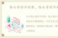 哈士奇好不好养，哈士奇好不好养