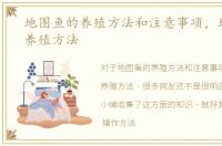 地图鱼的养殖方法和注意事项，地图鱼的养殖方法