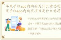 苹果手机app内购买是什么意思花钱吗，苹果手机app内购买项目是什么意思