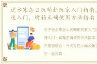 逆水寒怎么玩萌新玩家入门指南，烤箱快速入门，烤箱正确使用方法指南